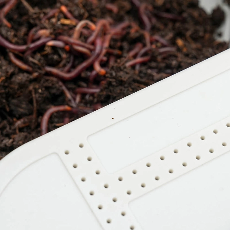 Cresta Holed Lid Bait Tubs